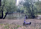 Забота с ущербом: почему нельзя кормить уток хлебом? Не кормите уток хлебом: привычка, которая вредит природе.